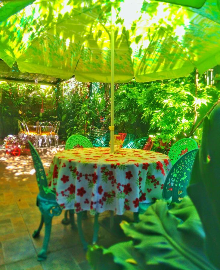 Hotel Oasis Σαν Σαλβαντόρ Εξωτερικό φωτογραφία